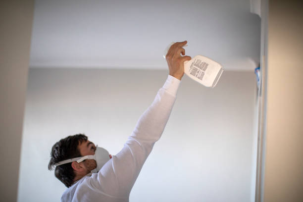Best Mold Testing  in Northview, MI
