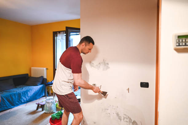 Best Emergency Mold Removal  in Northview, MI